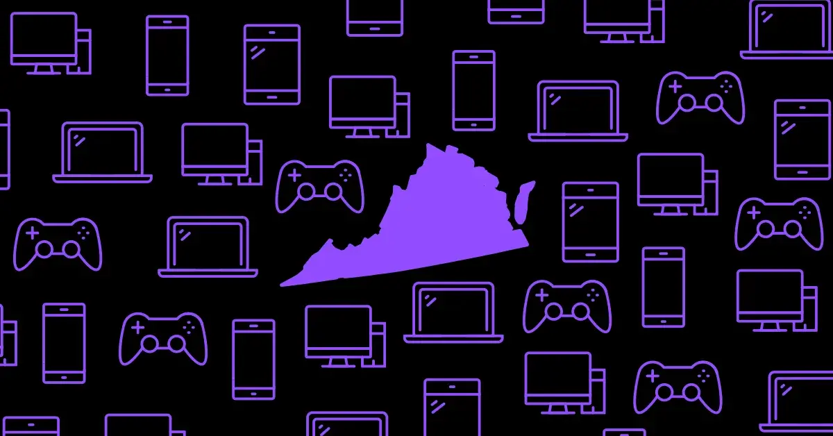 Metronet blog state virginia