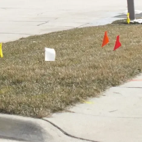 This is temporary image alt text